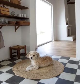 checkered floor tiles Australia